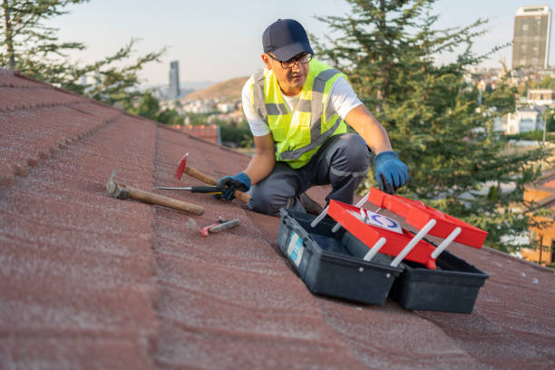 Siding Removal and Disposal in Lake City, SC